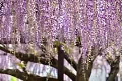 1AF46920-7D7B-4E5F-93B2-9030E0122D93