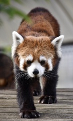 4ABA61AD-A215-44C8-A345-6D49359AC190