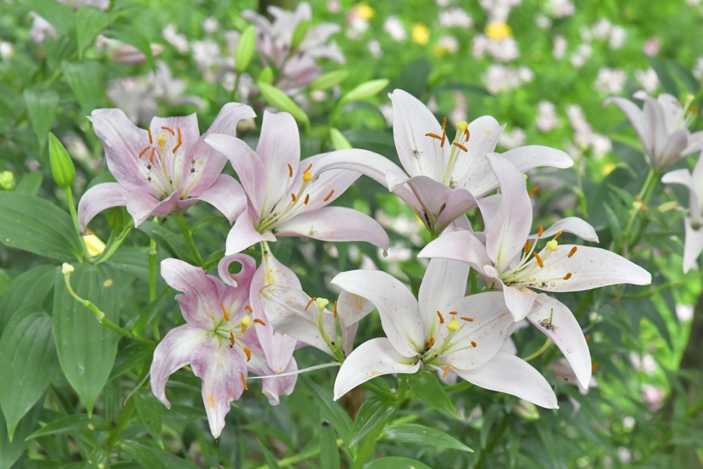 3D0F08AA-42EF-4B6E-B84F-FC3D5164B8EF