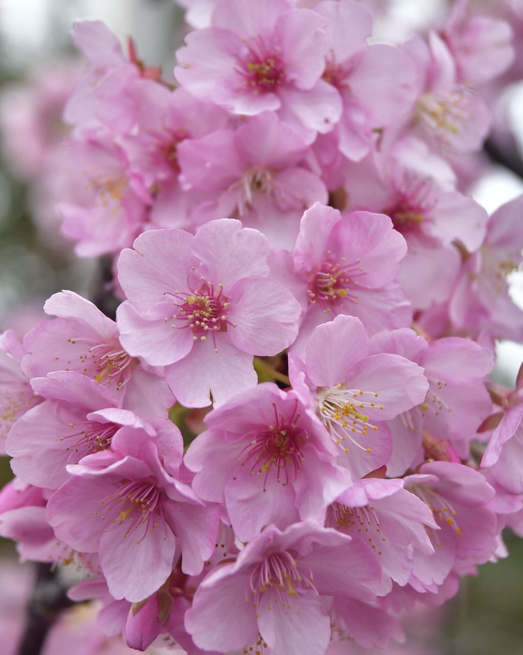 7C5EC3C1-9D65-4729-8350-F601F36C1F9F