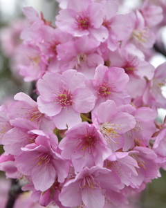 7C5EC3C1-9D65-4729-8350-F601F36C1F9F