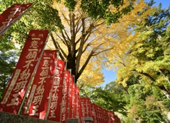 D8D141C8-20AA-4B59-B344-5CC2294395D9