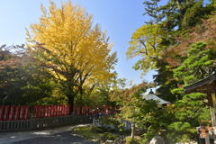 5F1C797E-FFAE-437D-95AF-7C910D29909C