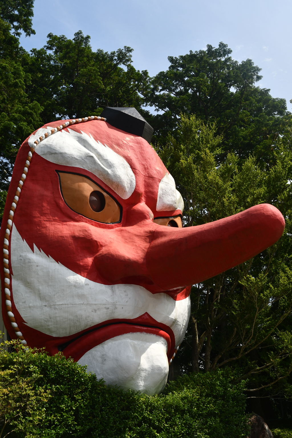 50762989-4B62-4C8F-8A77-C244BE5C2663