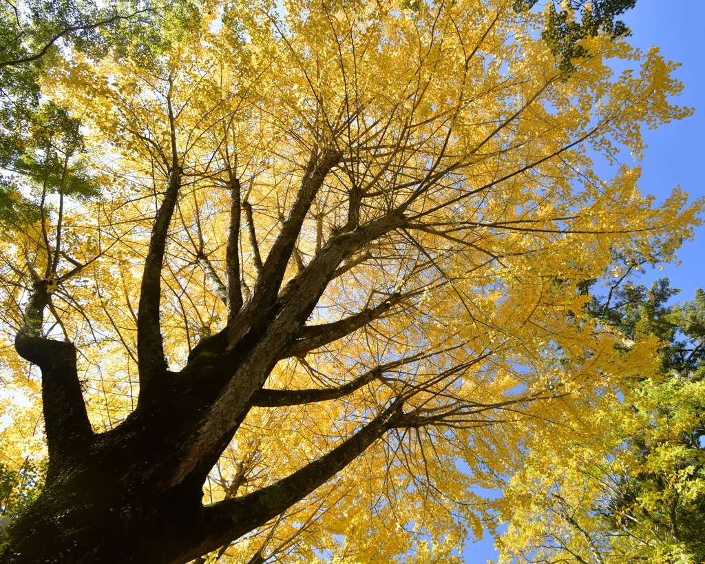 B2020905-A251-4E37-8ACD-88387D805904