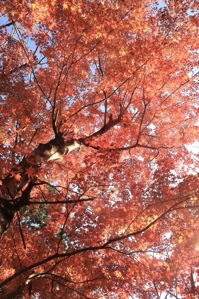 9C71AA7F-22AE-4B47-B318-F75FD68EAD05