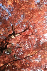 9C71AA7F-22AE-4B47-B318-F75FD68EAD05