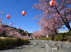 AE1D73D3-7698-45DC-AA3D-824D92CF8C33