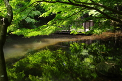鏡