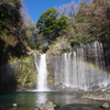 白糸の滝
