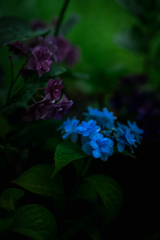 250623