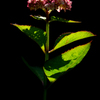 240624