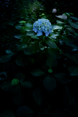 250622