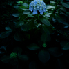 250622