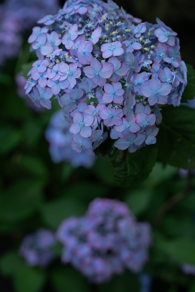 240614