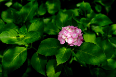 250621