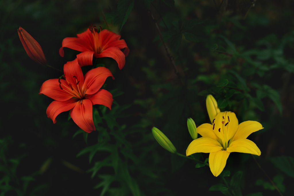 200613