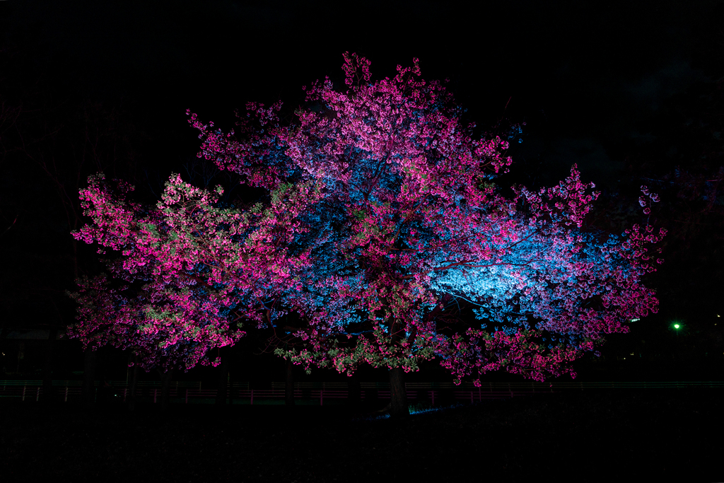 200402