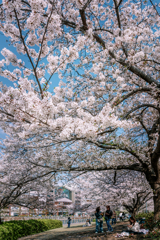 250415