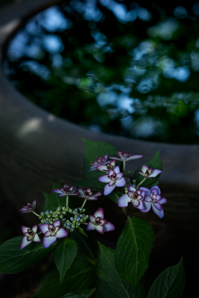 250615