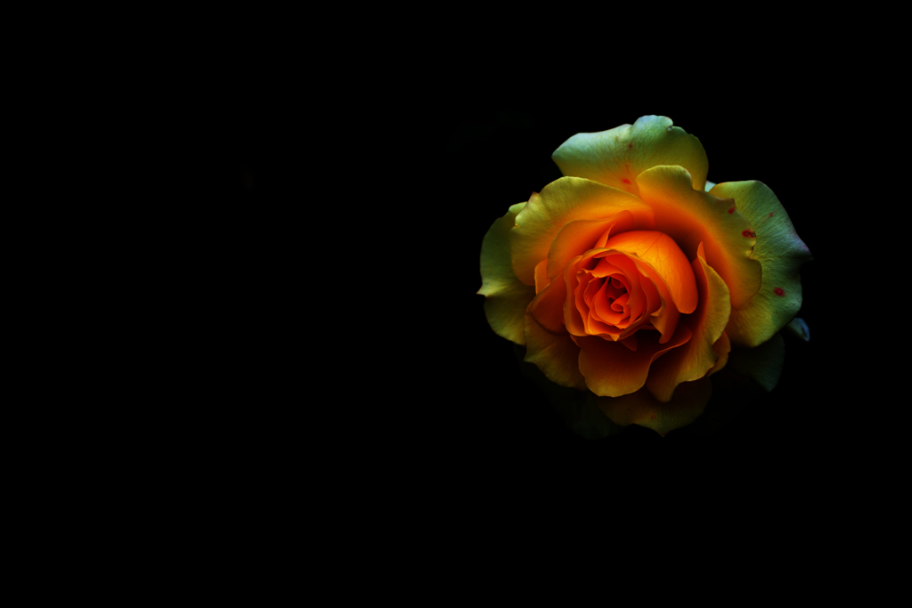 200126