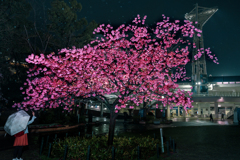 250406