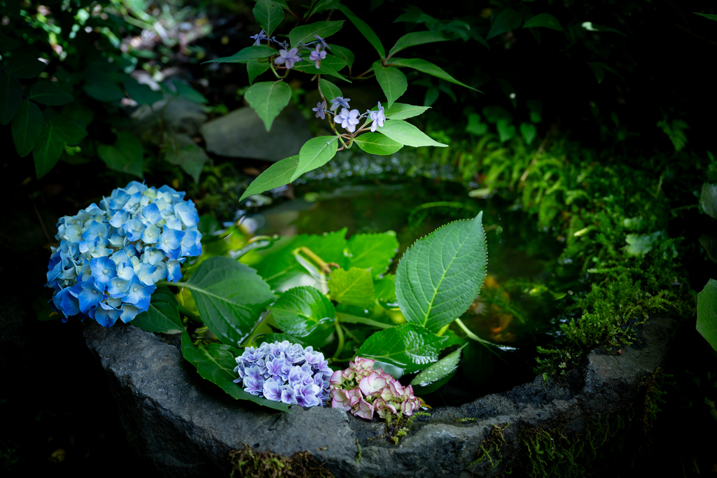 240612