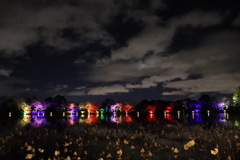 Rainbow night