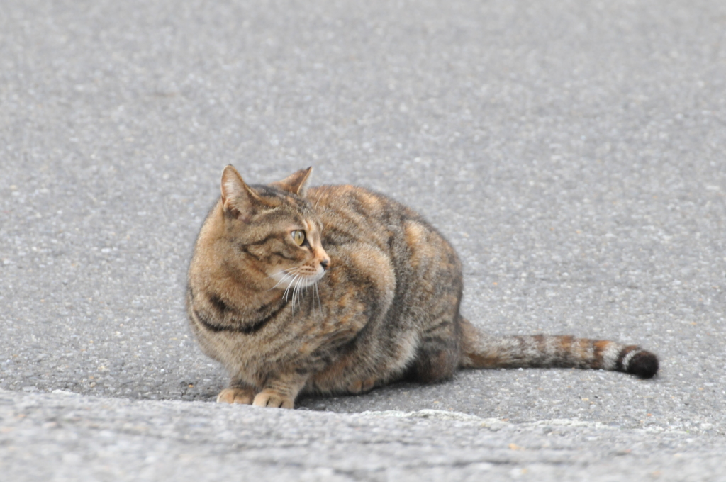 横顔もステキ