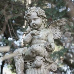 天使と小鳥