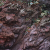岩肌