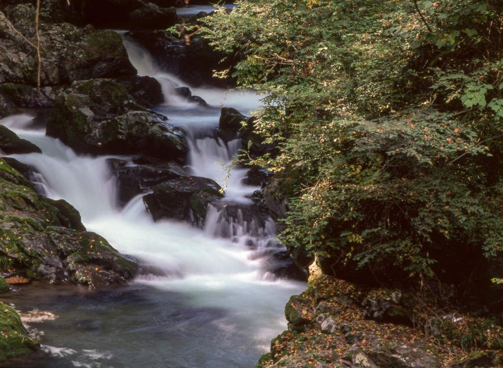 帝釈峡断魚渓