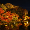 夜の紅葉狩り