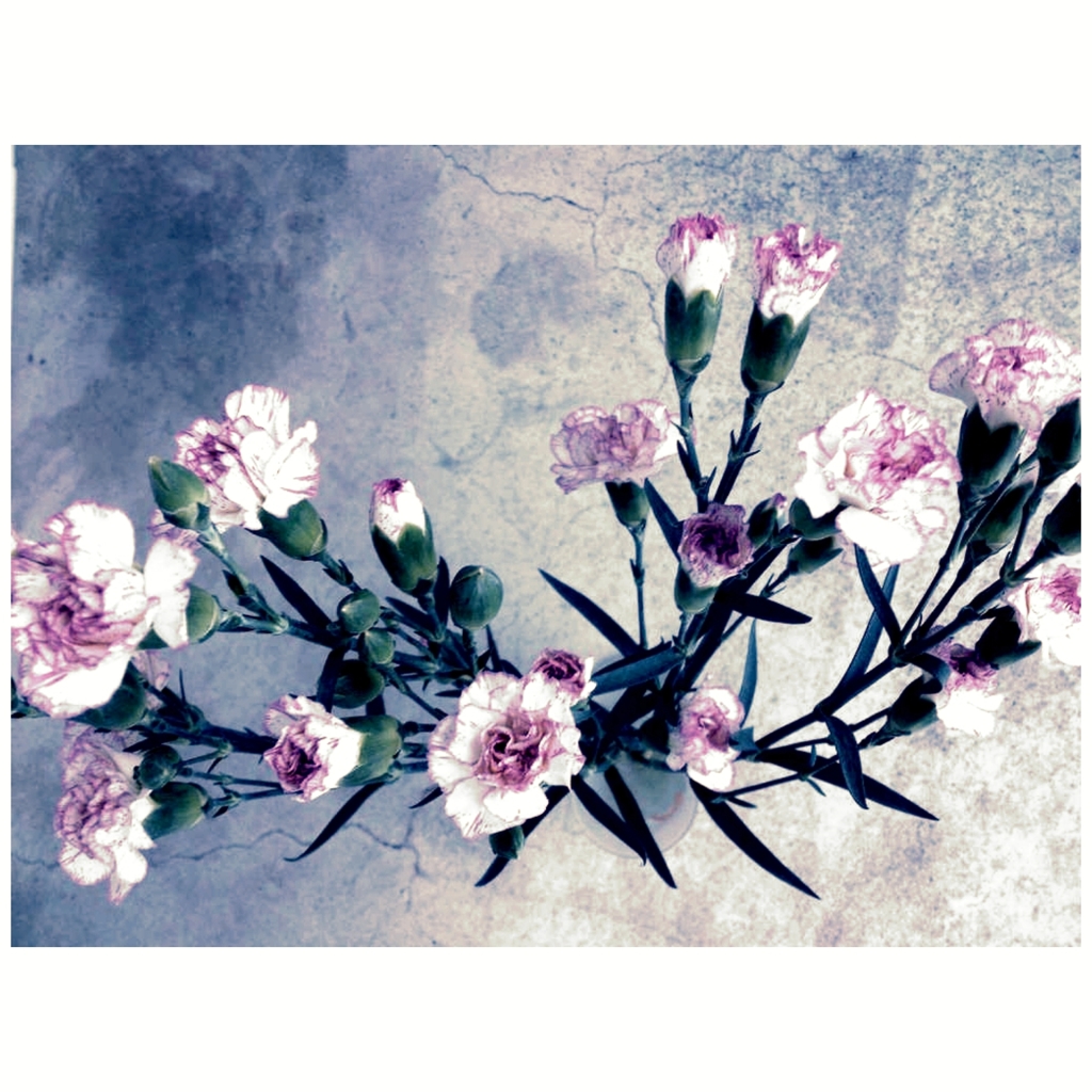 壁の花