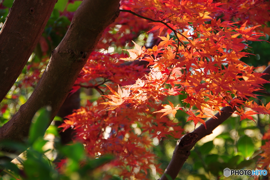 葛西の公園