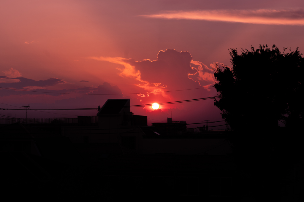 夕日にグーフィー
