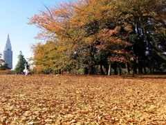 16A1E436-30BE-447E-A12F-F3653A54B030