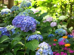 13C465A3-F4CB-4B52-B616-67D39CF8612F