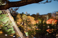 混雑時の撮影は大変(汗