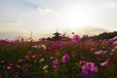 法起寺