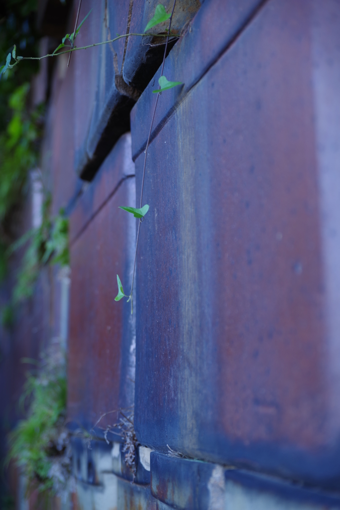 やきもの散歩道⑱　常滑