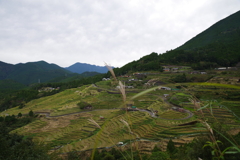 丸山千枚田