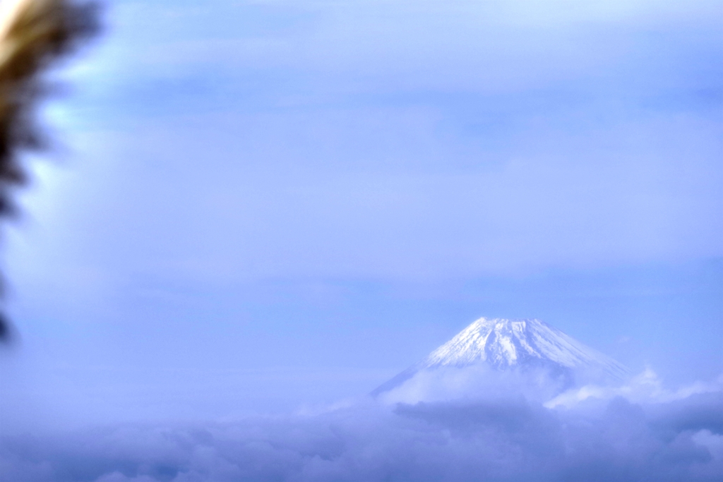 富士山と雲海