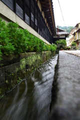 郡上八幡　