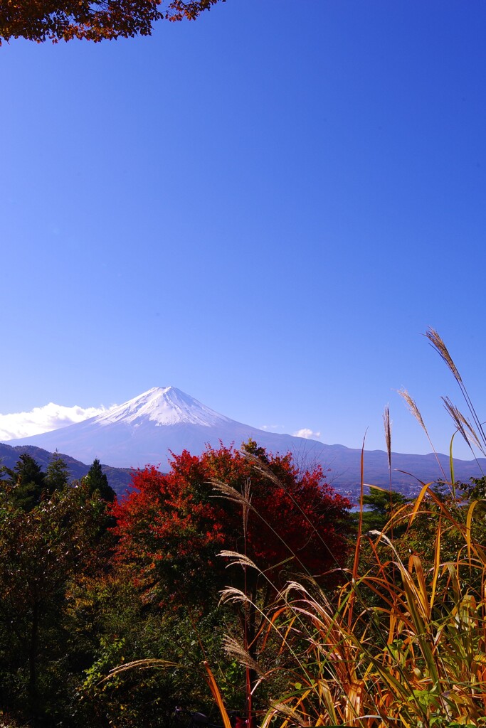 富士山