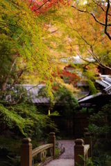紅葉