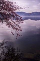 中禅寺湖畔