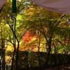 京都