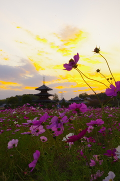 法起寺