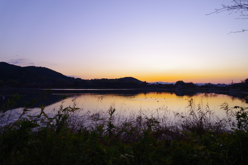 夜明け　広沢池